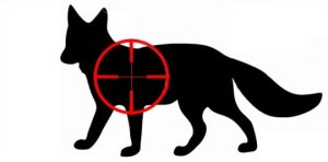 stock-vector-fox-crosshair-74575819